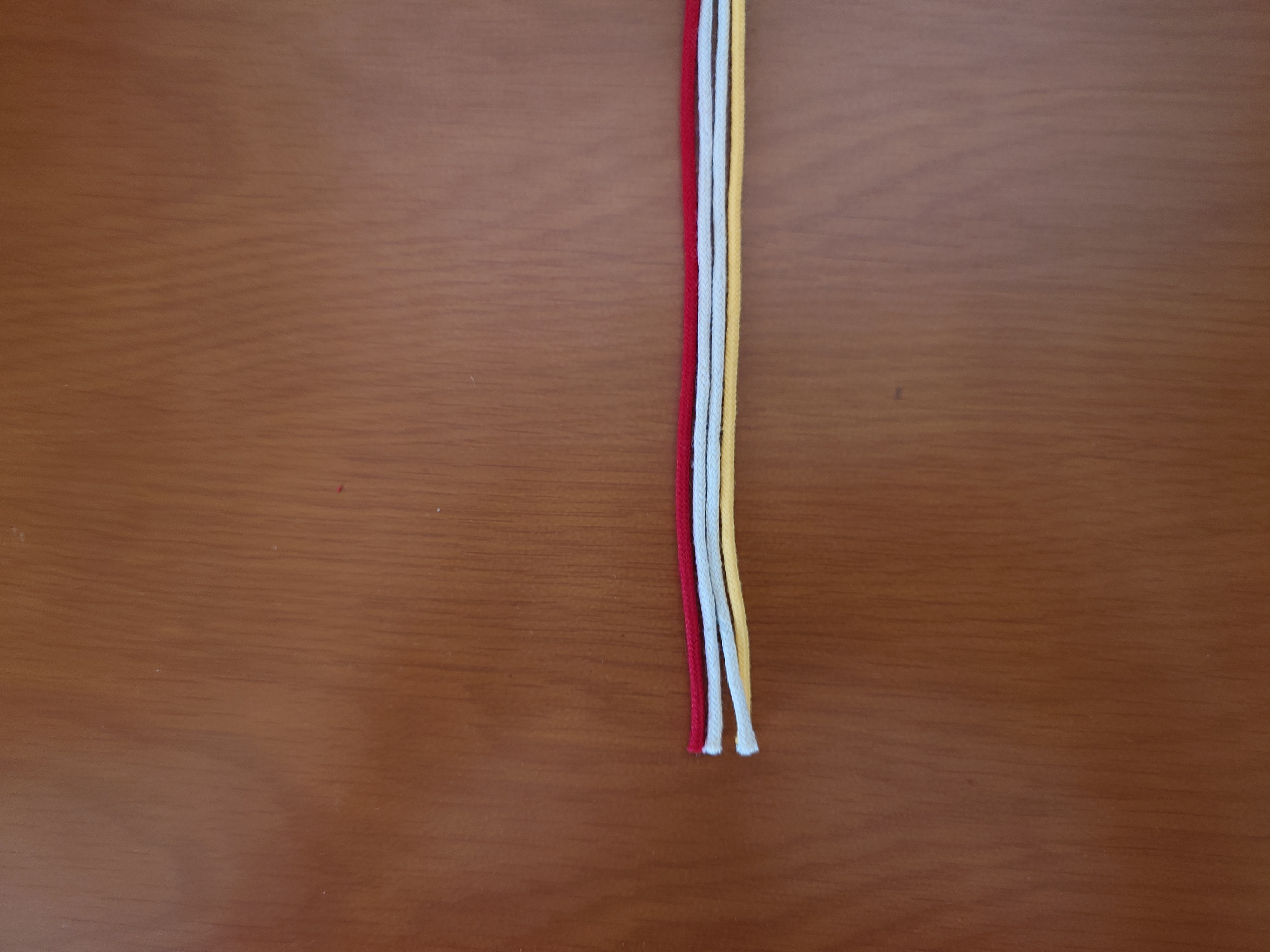 4本の紐が縦に並んでいる